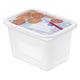 Coffret congélateur Rotho 4 pièces 1l