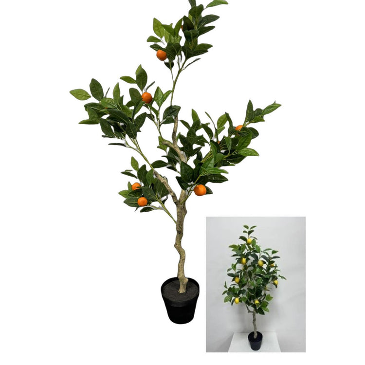 Déco citronnier-oranger h120cm