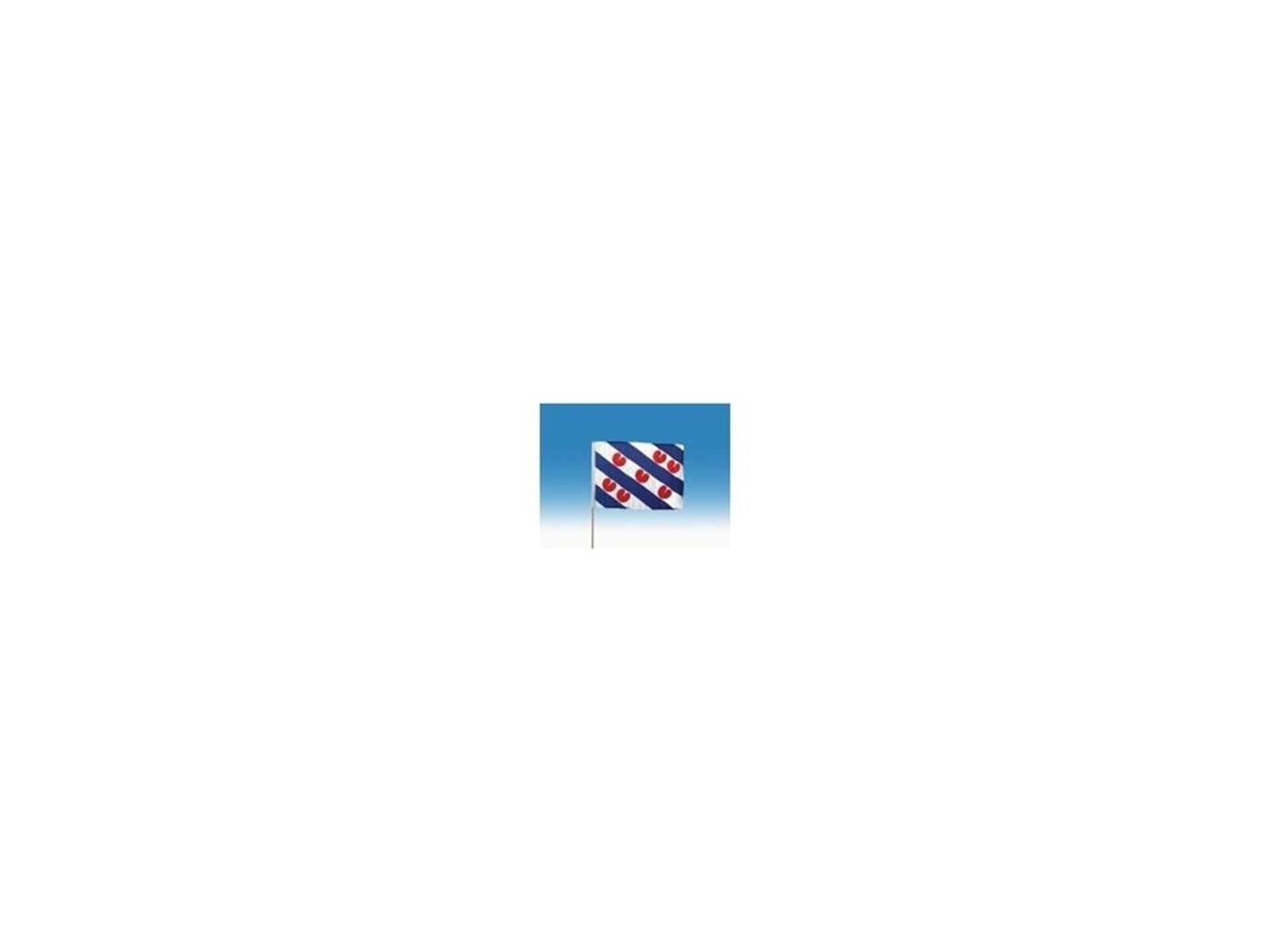 Drapeau Z wave Frise grand 50x70cm + bâton