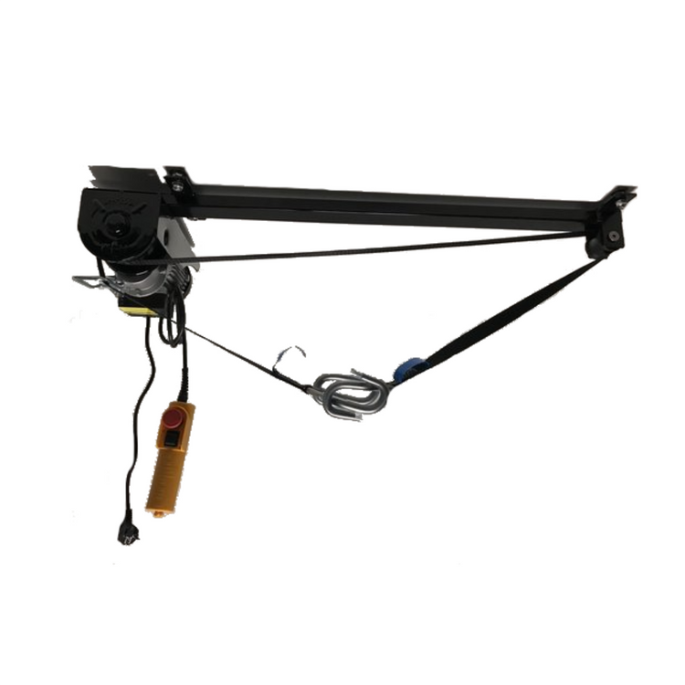 Palan électrique 220V 125kg