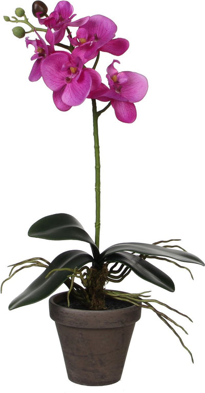 Mica décorations plante artificielle - orchidée phalaenopsis - violet - 48 cm - plantes artificielles fausses plantes avec fleurs
