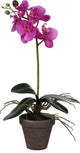 Mica décorations plante artificielle - orchidée phalaenopsis - violet - 48 cm - plantes artificielles fausses plantes avec fleurs