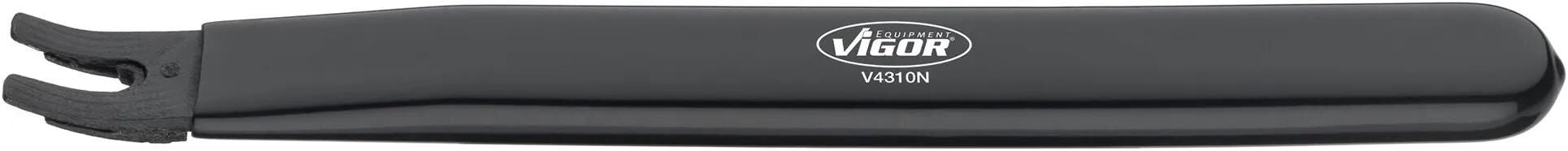 VIGOR Release Liver.