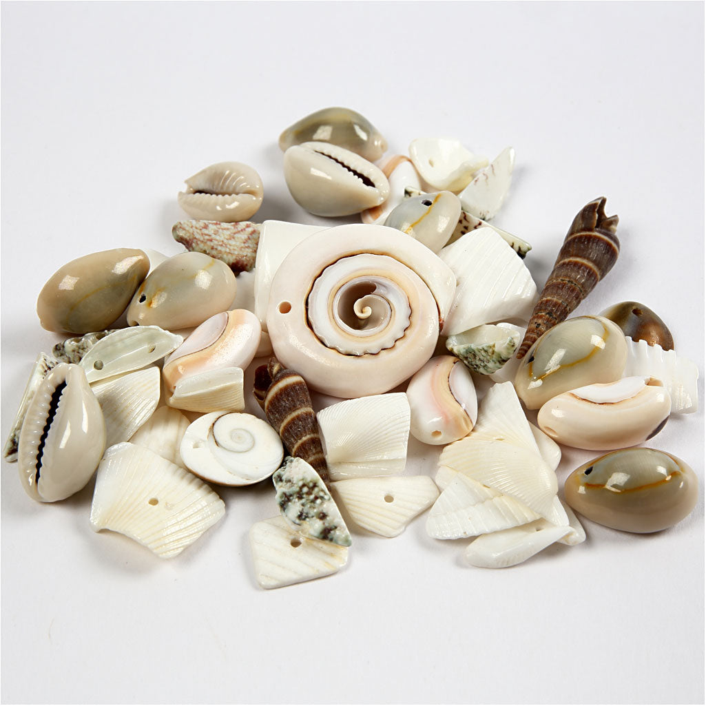 Perles coquillage Creativ Company, taille 9-40 mm, taille de trou 1-1,5 mm, 120 g 1 boîte