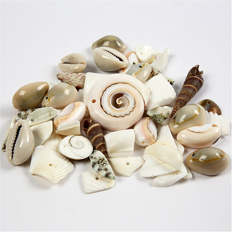 Perles coquillage Creativ Company, taille 9-40 mm, taille de trou 1-1,5 mm, 120 g 1 boîte