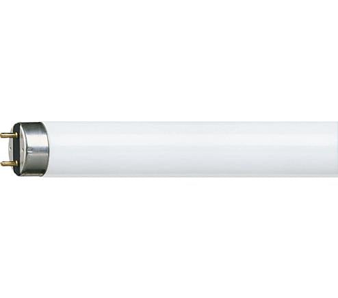 Philips tube fluorescent 28w 865 master tl5 lumière du jour froide haute efficacité | 40 pièces