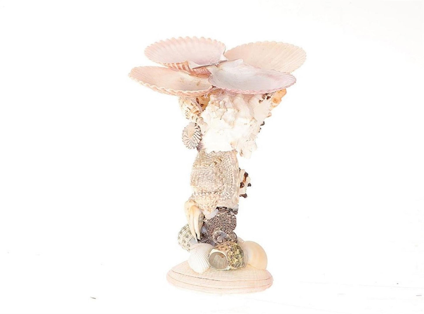 Hbx naturel vivant bougeoir coquille galerie h16cm