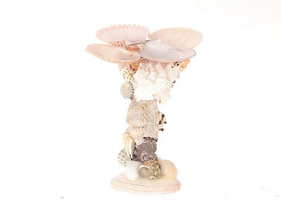 Hbx naturel vivant bougeoir coquille galerie h16cm