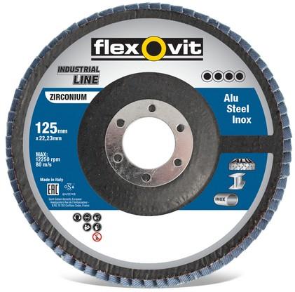 Disque à lamelles plates Flexovit 115x22 r842 p60 | 10 pièces