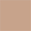 Peinture pour affiches Schjerning greenspot, mate, beige, 500 ml 1 bouteille