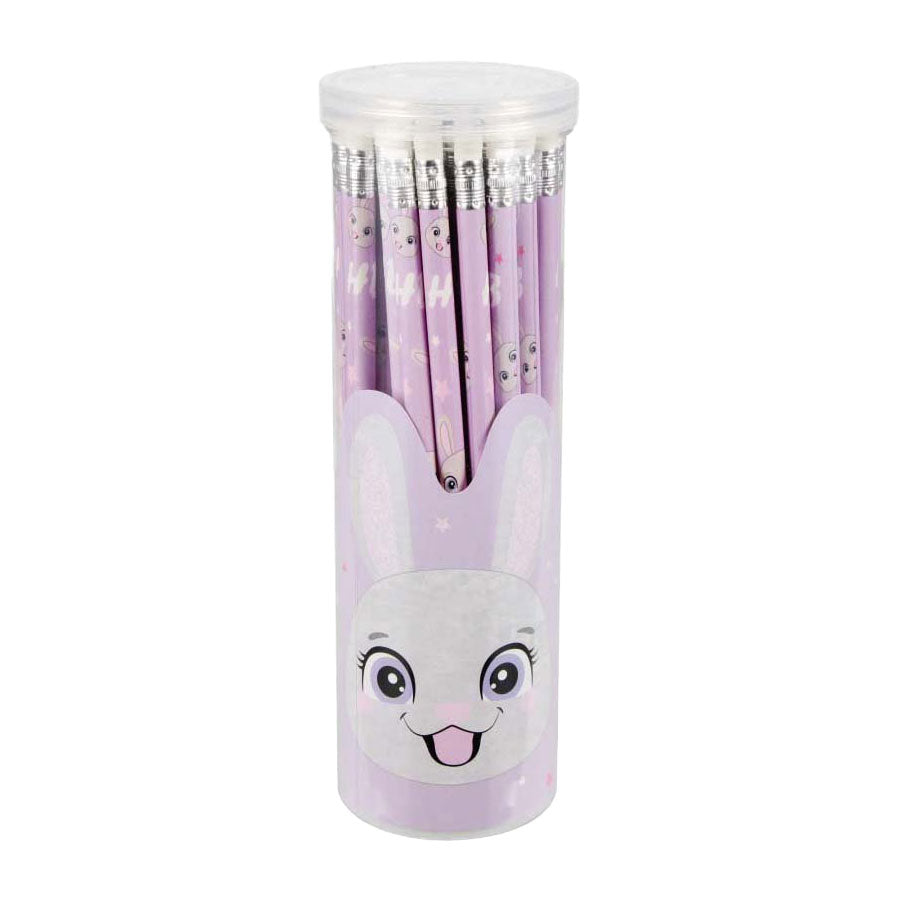 Crayons avec gomme lapin, 48 pièces