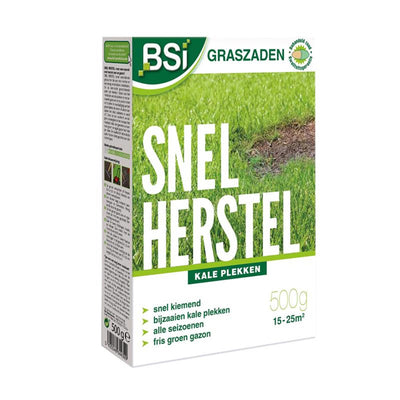 Semences de gazon Bsi récupération rapide 500g