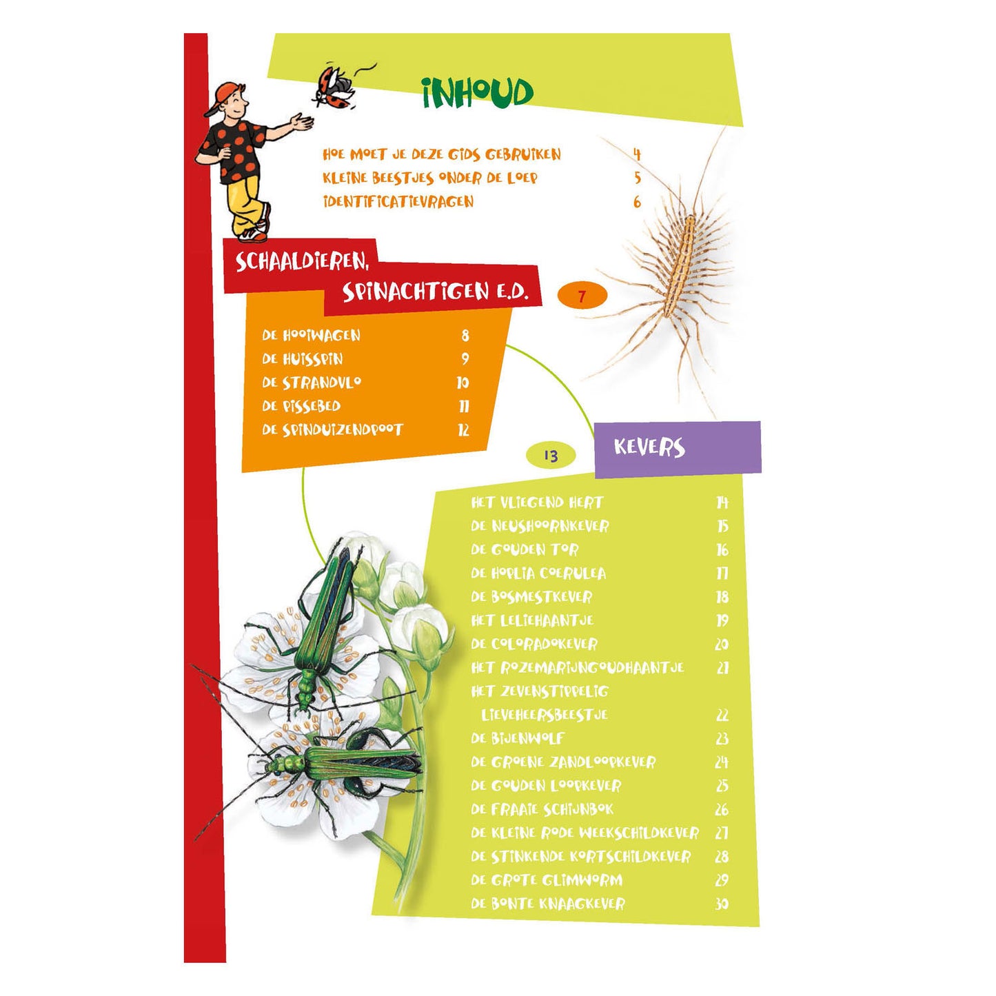 Le meilleur guide d'insectes pour les enfants