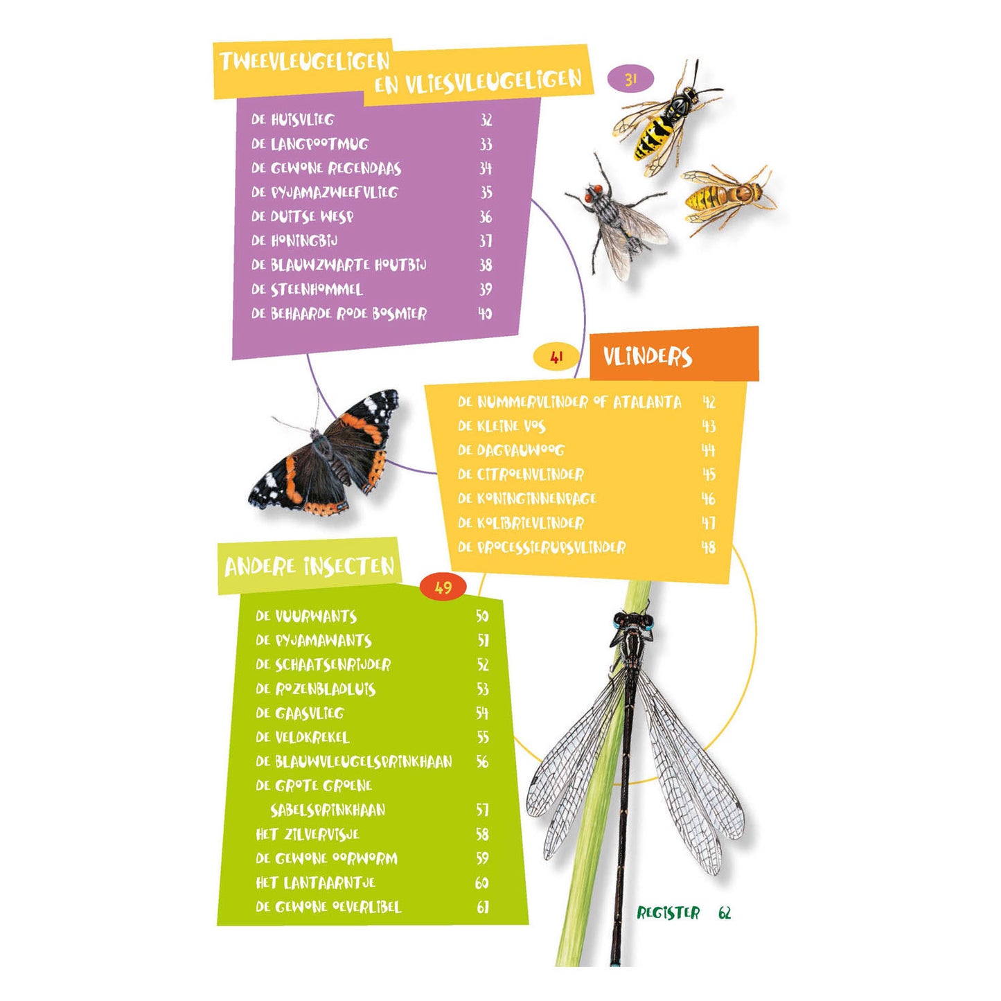 Le meilleur guide d'insectes pour les enfants