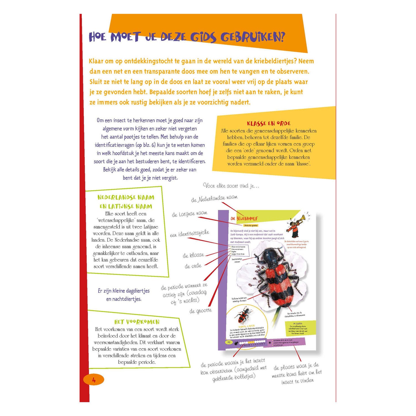 Le meilleur guide d'insectes pour les enfants