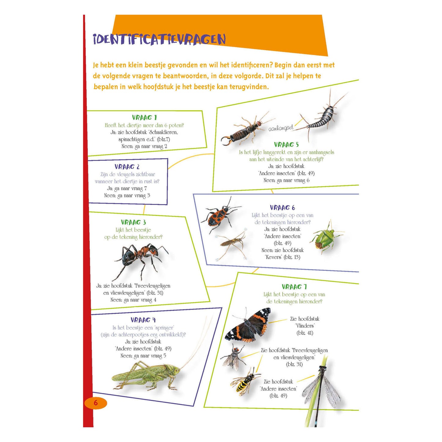 Le meilleur guide d'insectes pour les enfants