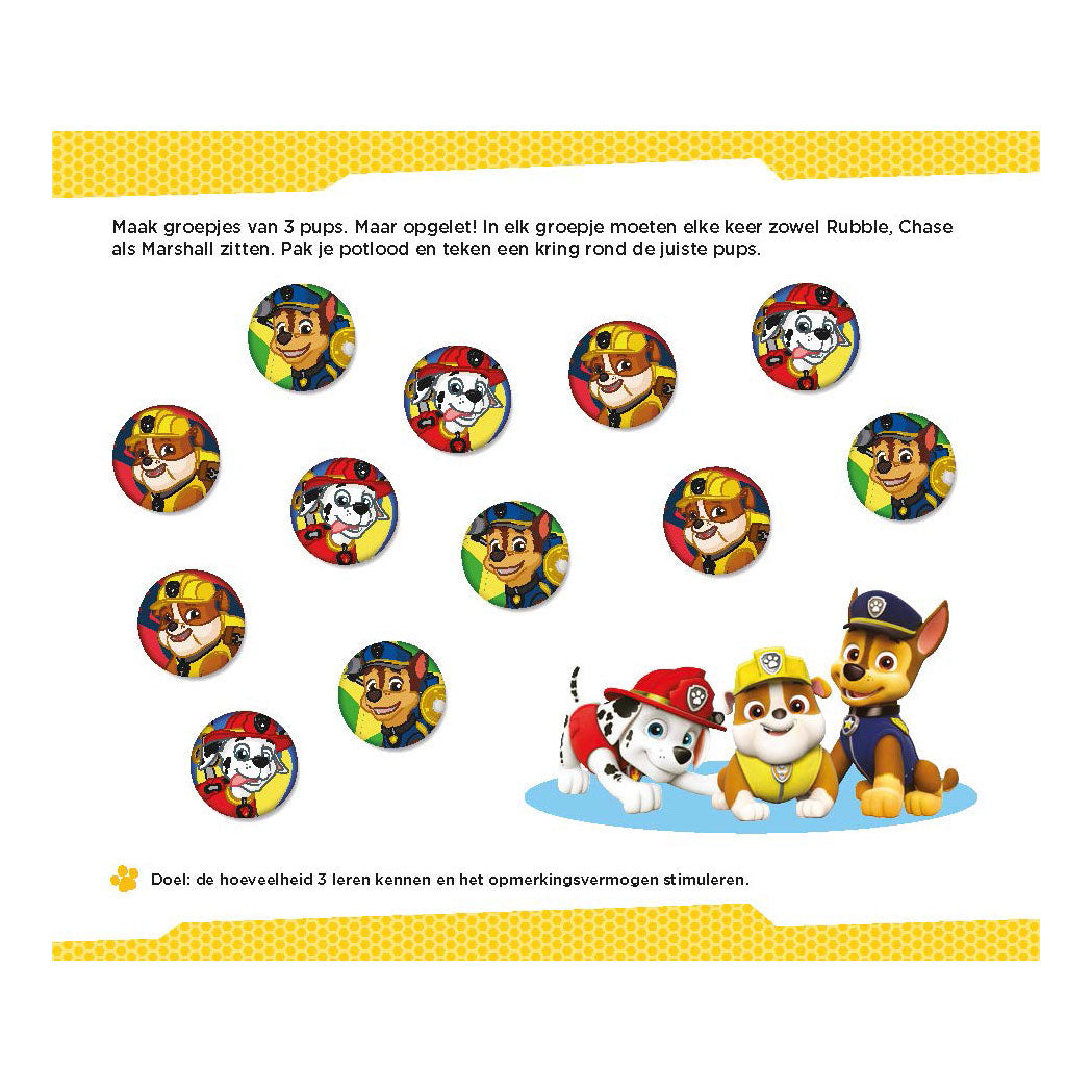 Paw Patrol Nice Counting Games (4-5 ans)