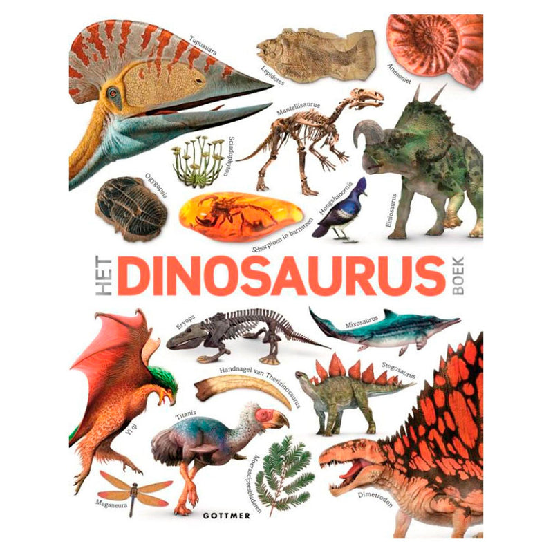 Groupe d'édition Gottmer le livre des dinosaures