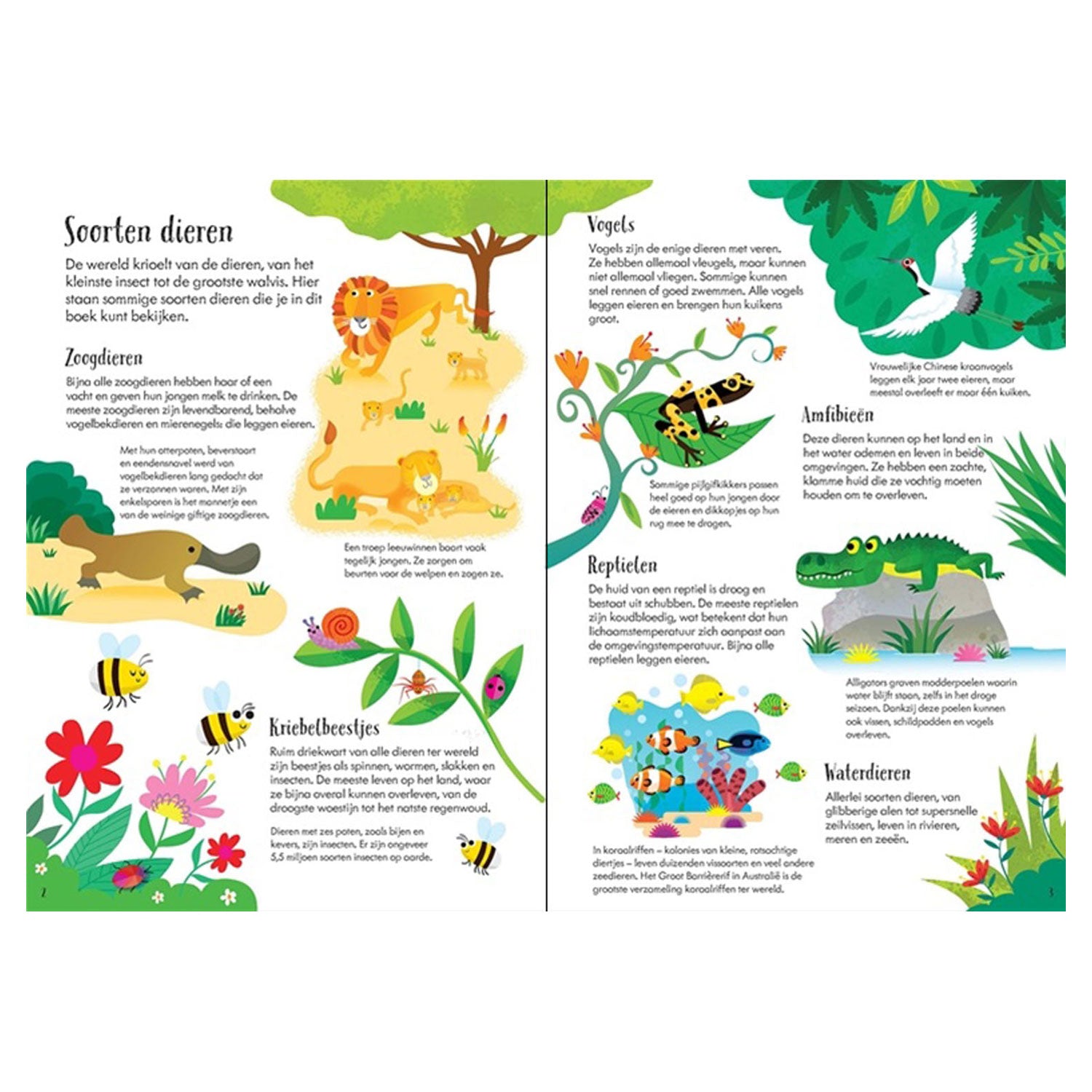 Livre et puzzle des animaux du monde des éditeurs WPG