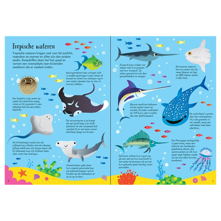 Livre et puzzle des animaux du monde des éditeurs WPG