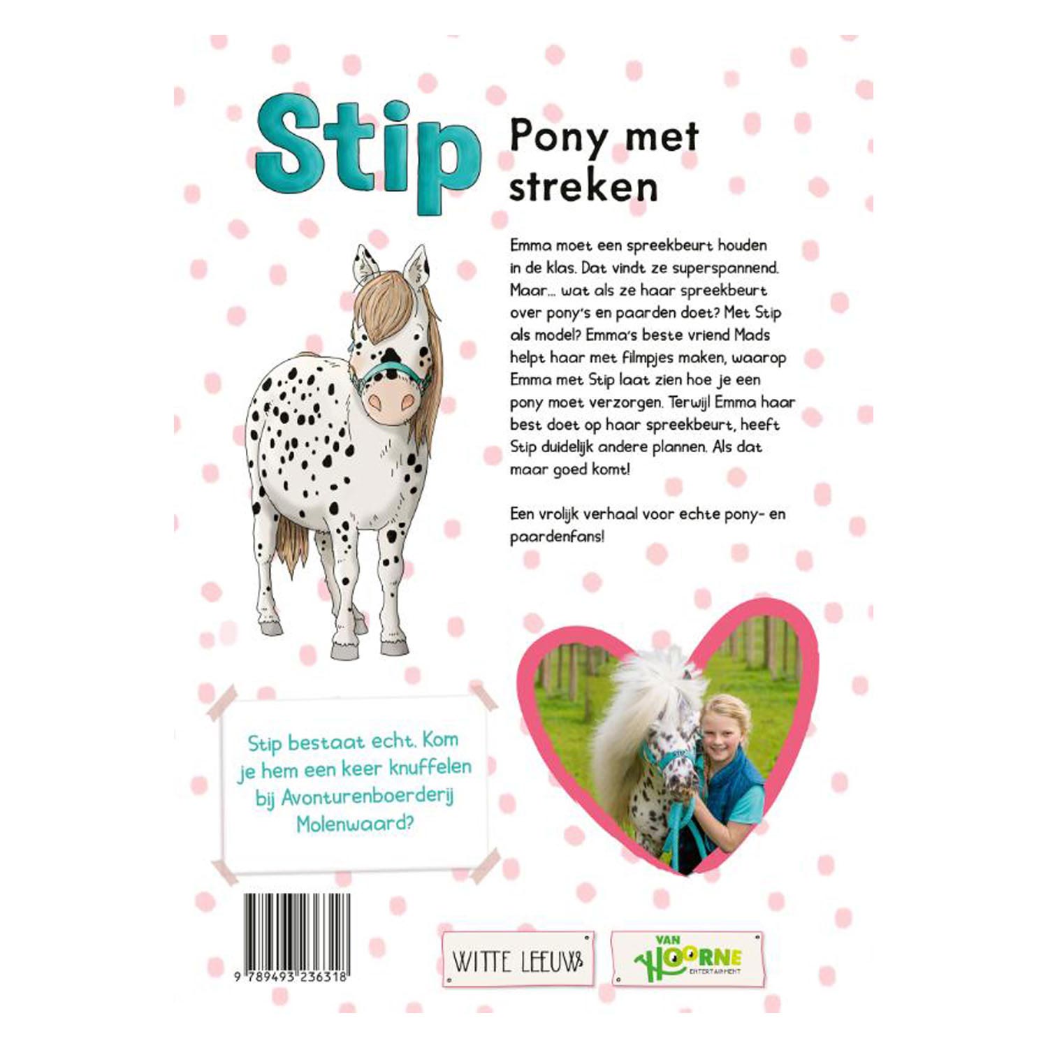 Stip - poney avec les régions
