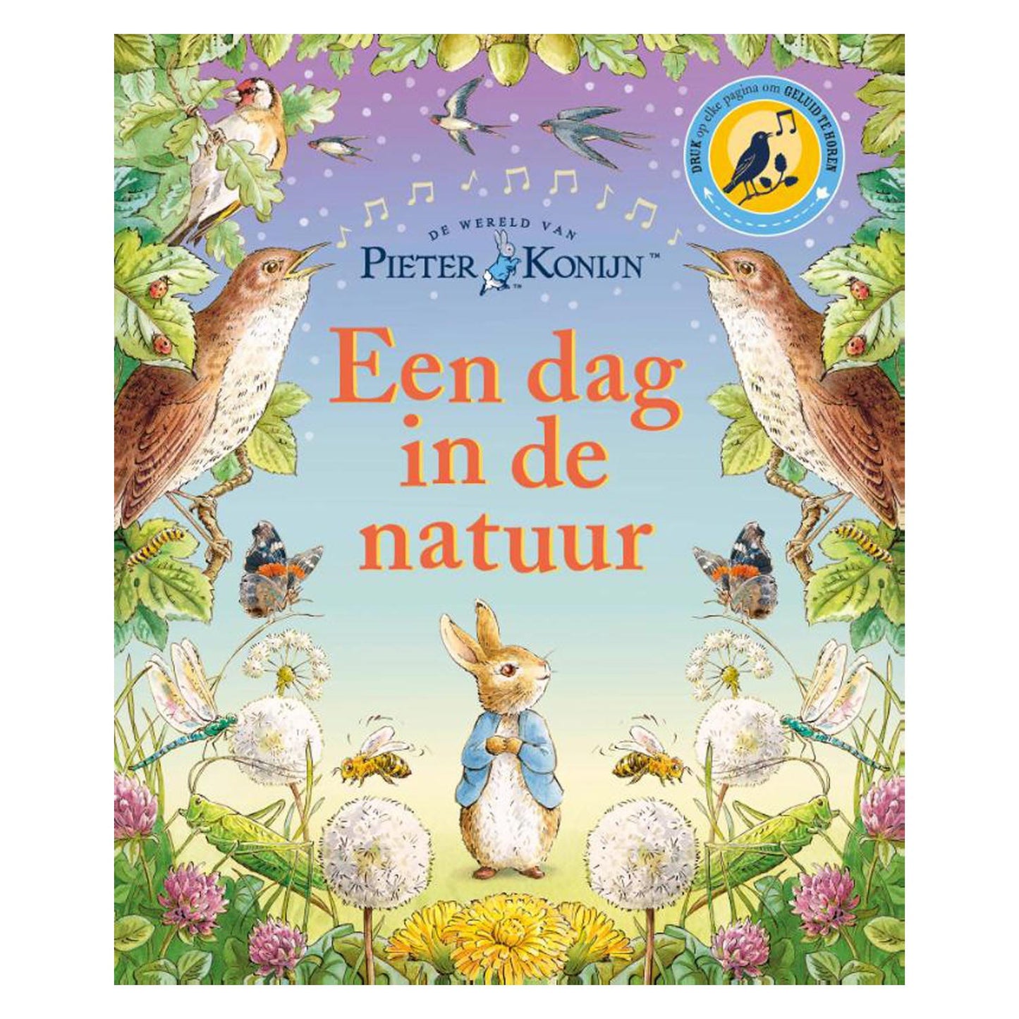 Pieter Konijn: une journée dans la nature