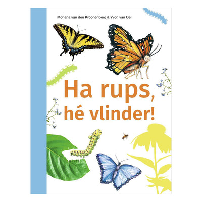 Éditeurs Wpg, hé chenille, hé papillon ! -avi m4