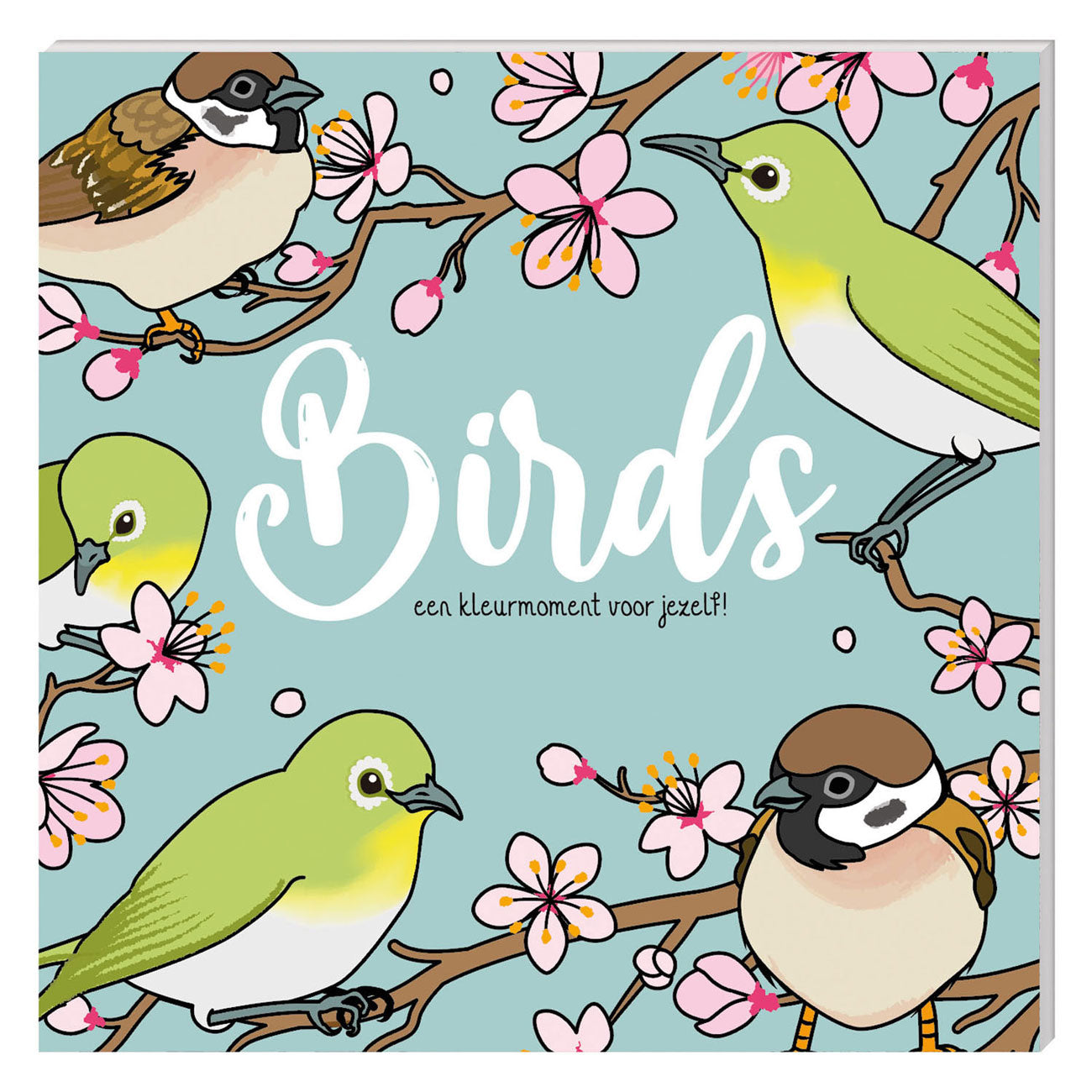 Livre de coloriage - oiseaux nouveau