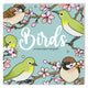 Livre de coloriage - oiseaux nouveau
