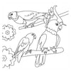 Livre de coloriage - oiseaux nouveau