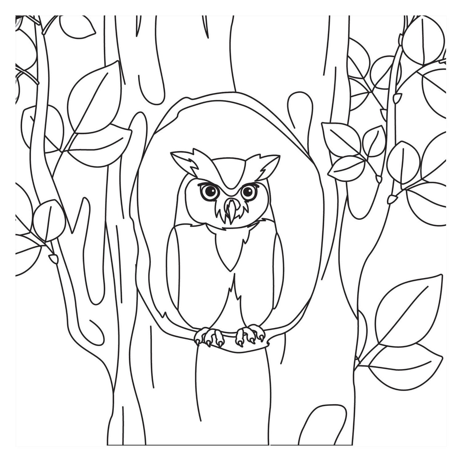 Livre de coloriage - oiseaux nouveau