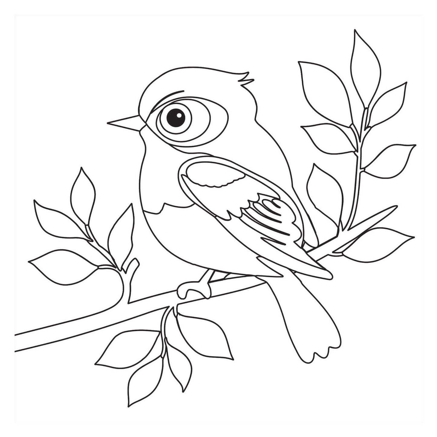Livre de coloriage - oiseaux nouveau