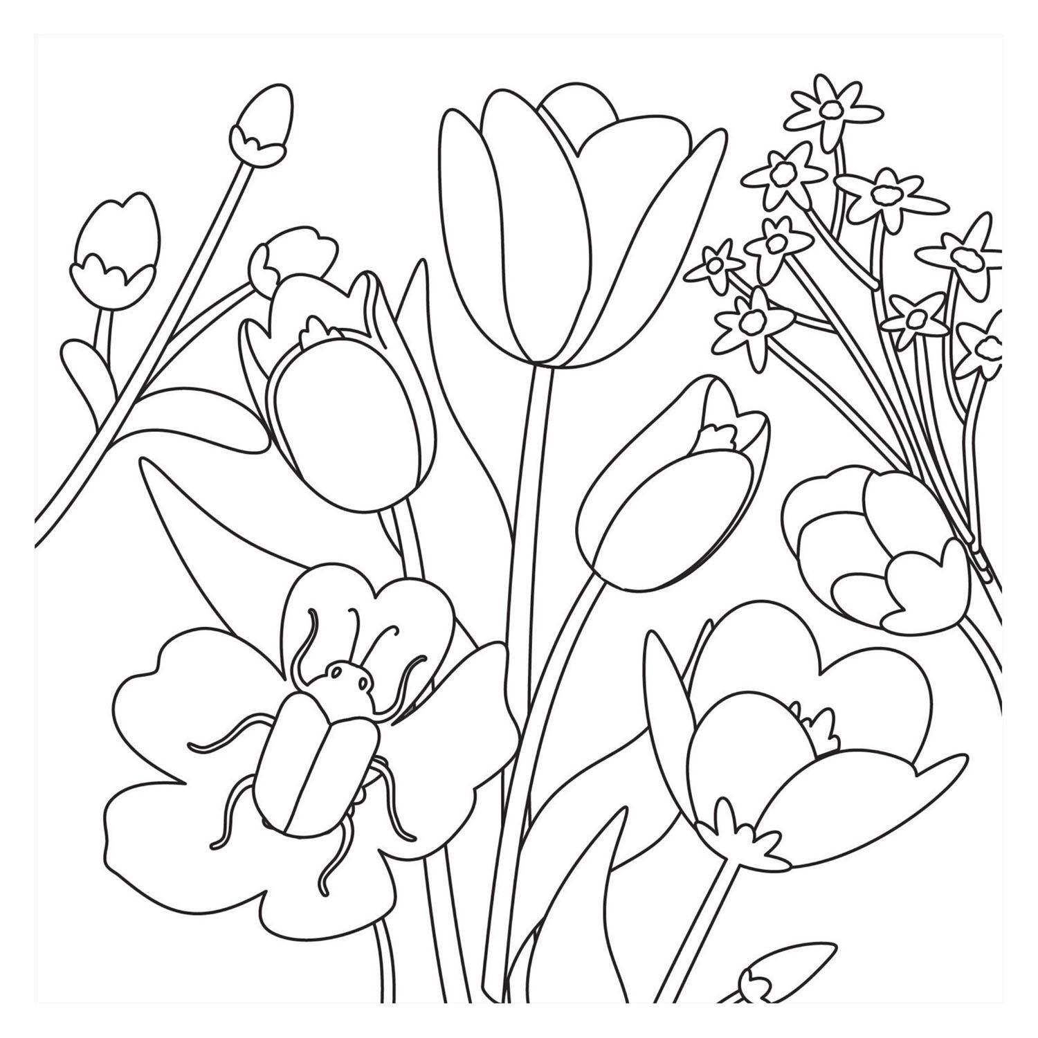 Livre de coloriage - bloom nouveau