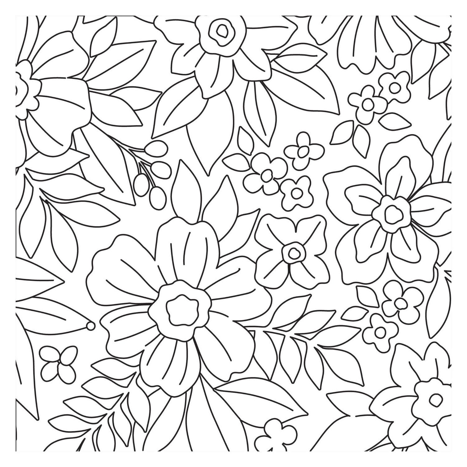 Livre de coloriage - bloom nouveau