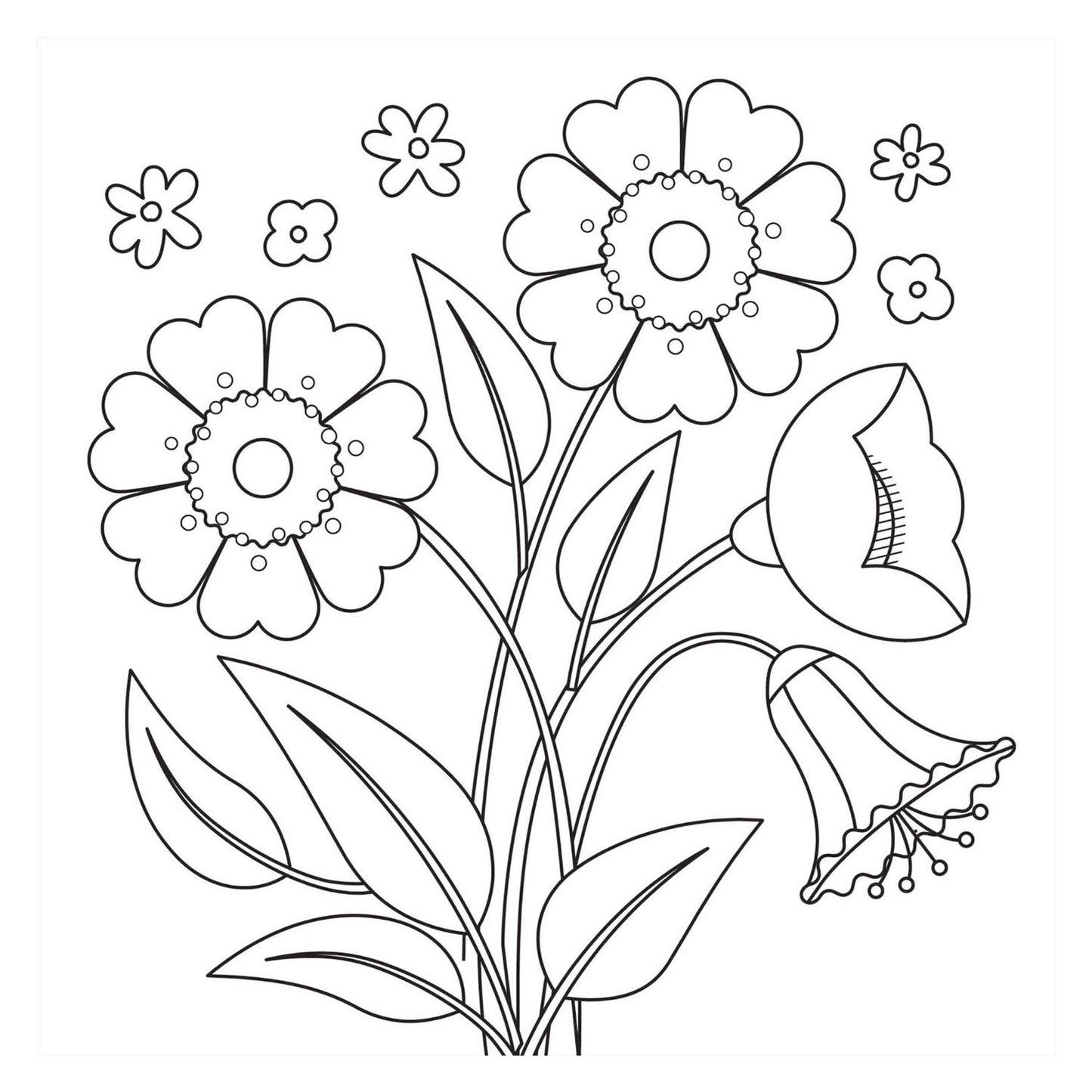 Livre de coloriage - bloom nouveau