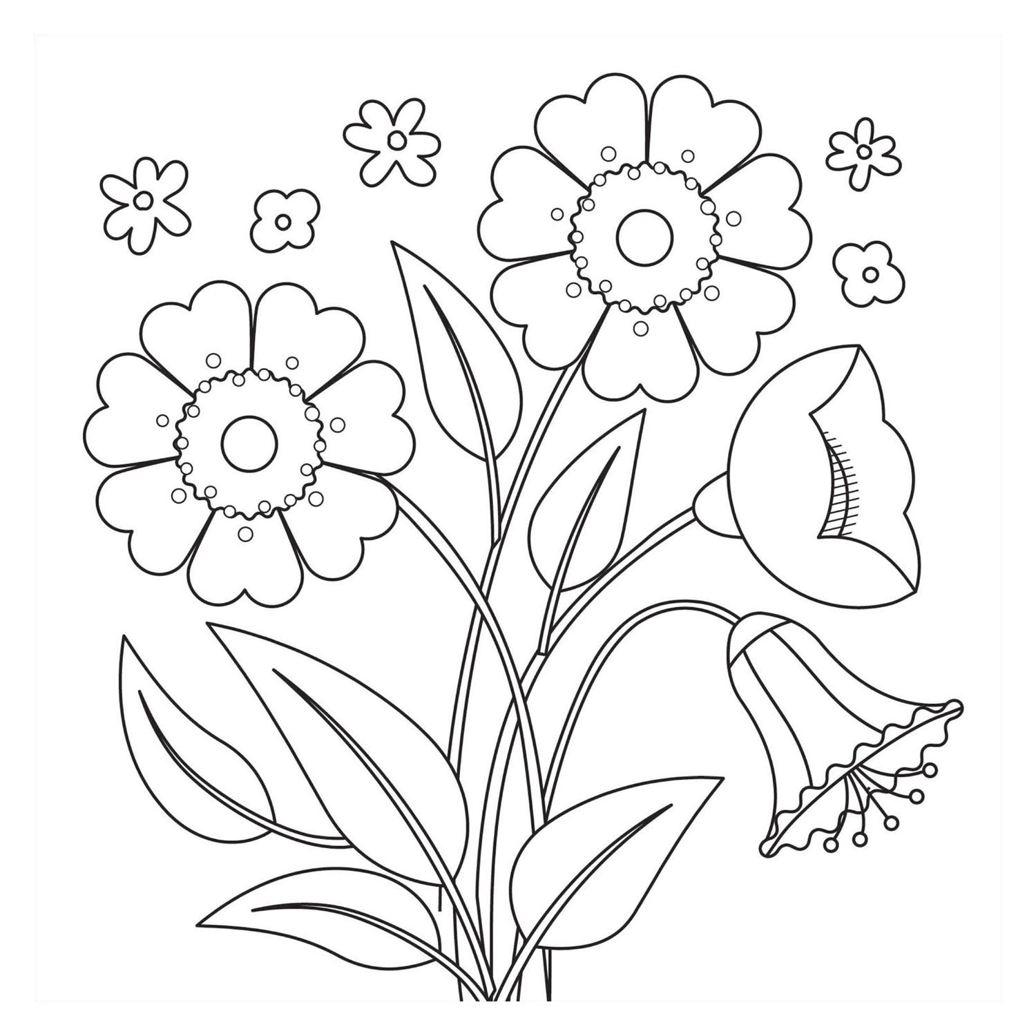 Livre de coloriage - bloom nouveau
