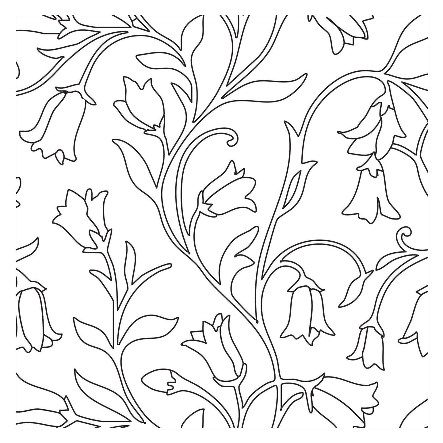 Livre de coloriage - bloom nouveau