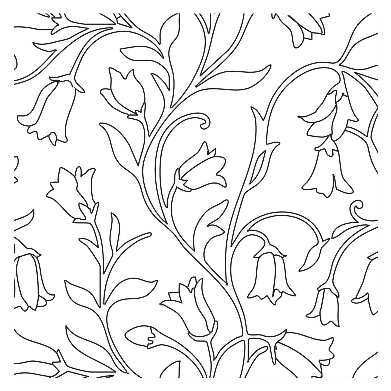 Livre de coloriage - bloom nouveau