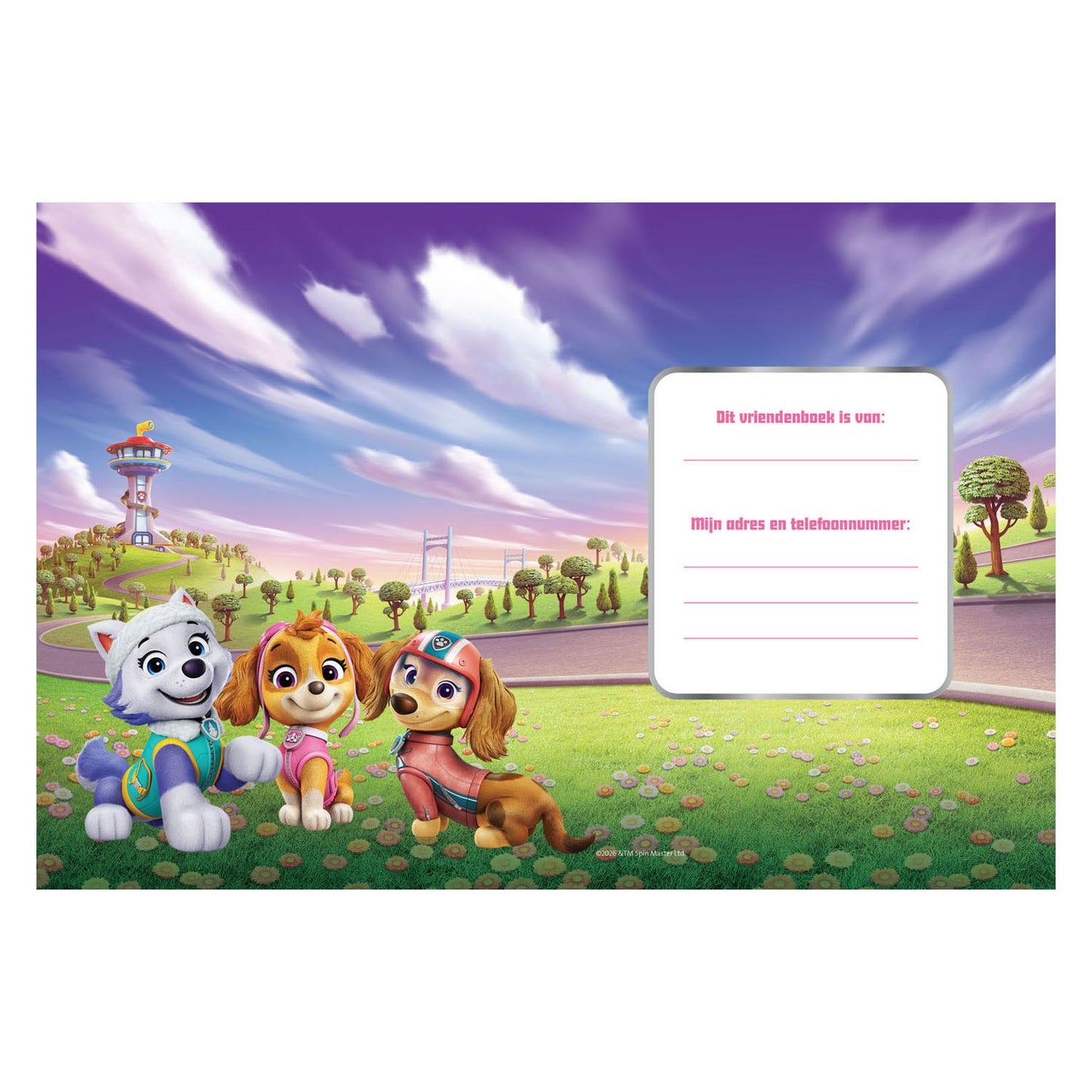 Livre d'amis - Paw Patrol Girl Pups 6+