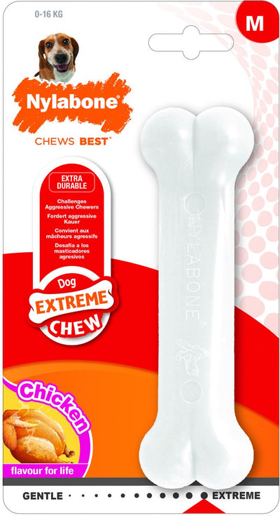 Os dur mordant Nylabone - poulet - pour chiens jusqu'à 15 kg