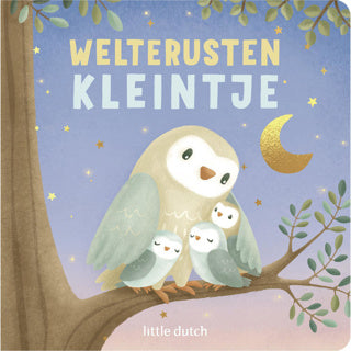 Livre Little Dutch, bonne nuit, petit