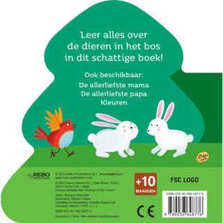 Livre cartonné livre animaux dans la forêt
