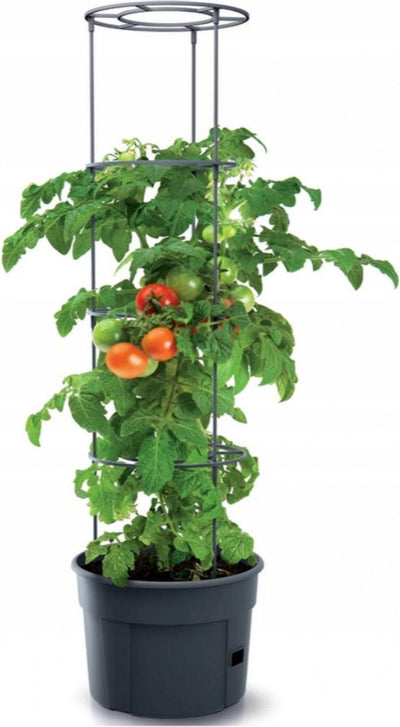 Prosperplast pot de tomates résistant au gel producteur de tomates ipom300