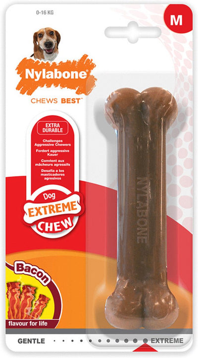 Nylabone Dura mâcher pour la saveur des bacons durs bijters