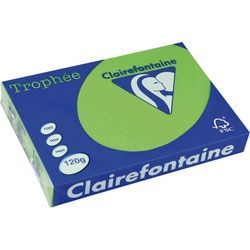 Papier Clairfontaine 1293C A4 120g vert