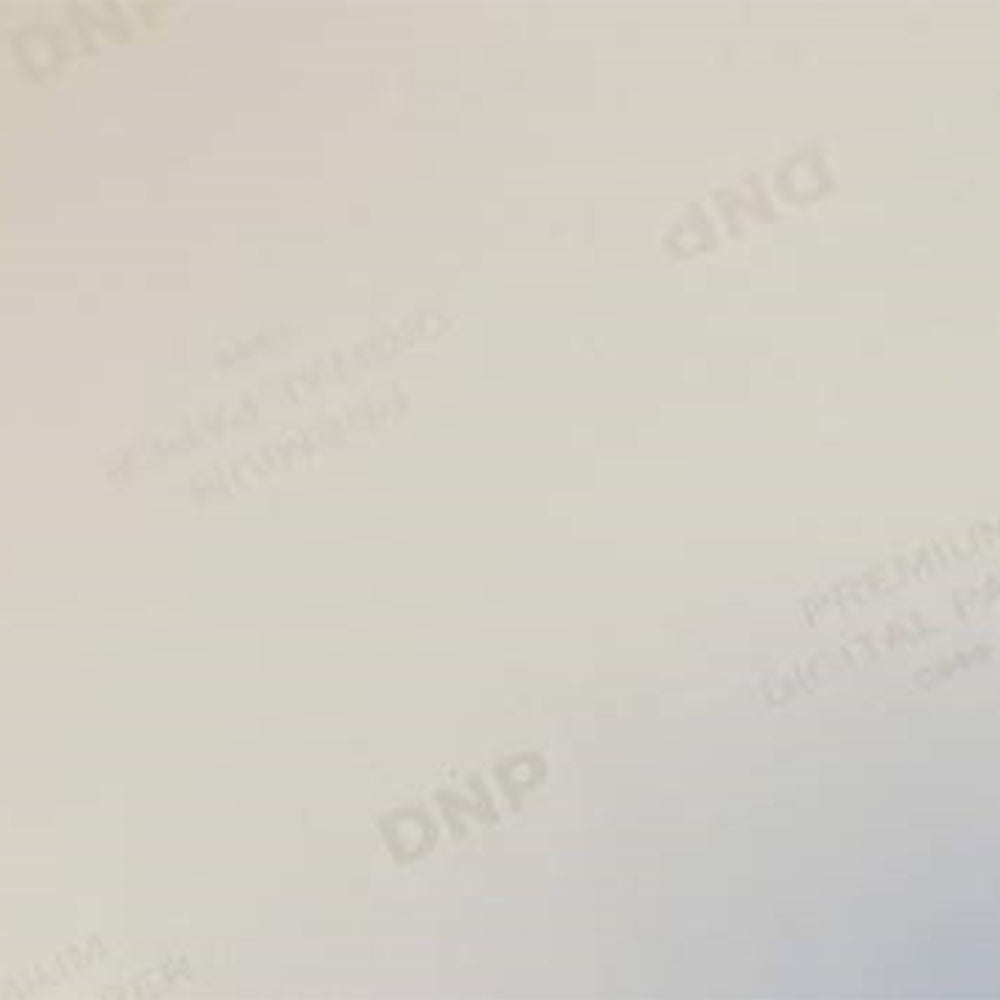 DNP Papier standard DSRX1HS-4X6 2 Roll � 700 St. 10x15 pour DS-RX1HS
