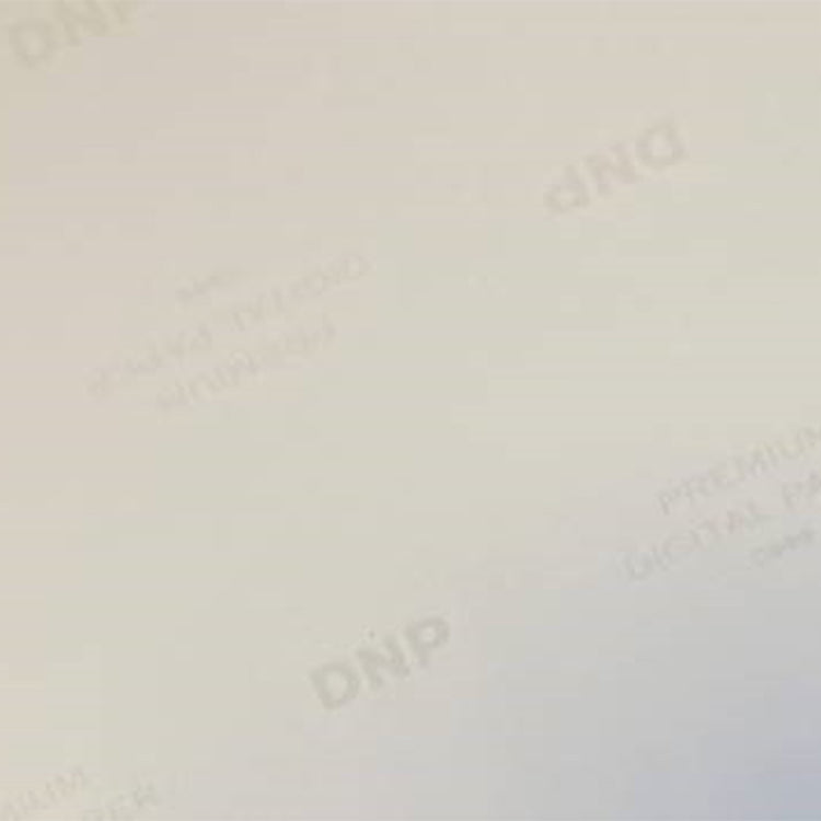 DNP Papier standard DSRX1HS-4X6 2 Roll � 700 St. 10x15 pour DS-RX1HS