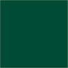 Glaze pour l'argile, vert, 200 ml 1 boîte