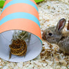 Happy Pet Wilgen Value Pack 2 bâtons 2 balles