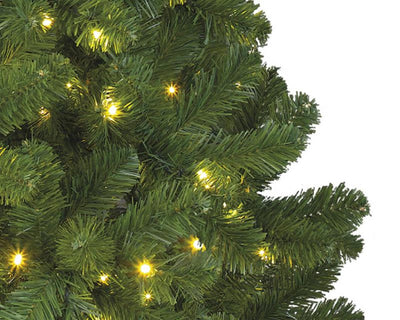 Sapin de Noël Everlands pin impérial150cm + éclairage LED